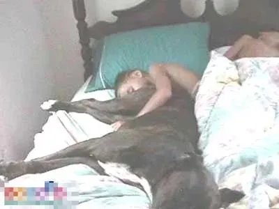 “外卖小哥被差评大哭”视频实为快手拍客团队假扮操作,那么拍摄团队应承担责任吗?