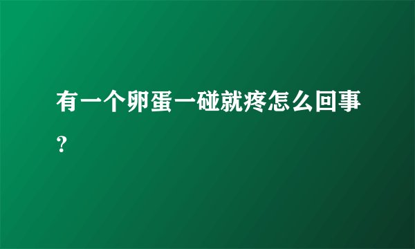 有一个卵蛋一碰就疼怎么回事？