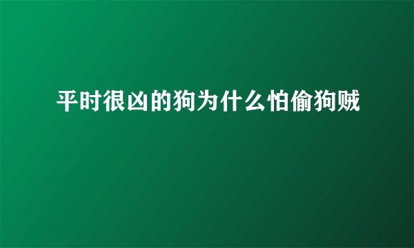 平时很凶的狗为什么怕偷狗贼