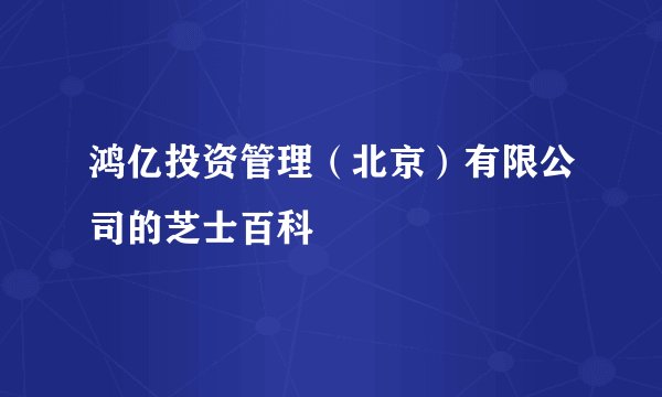 鸿亿投资管理（北京）有限公司的芝士百科