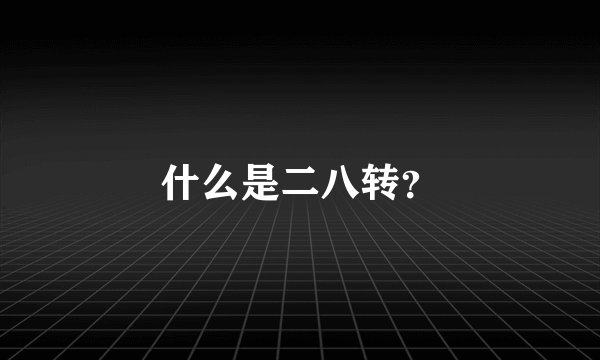 什么是二八转?