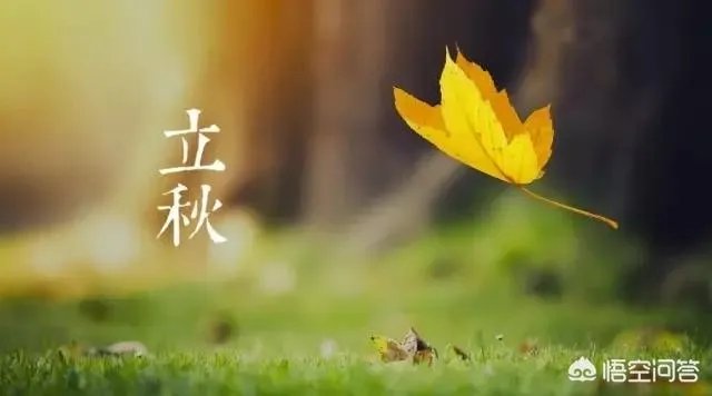 立秋写一首小诗