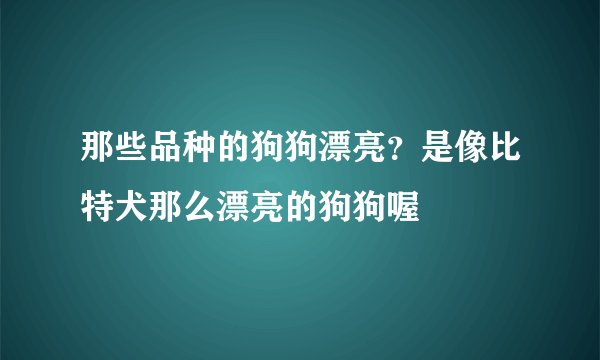 那些品种的狗狗漂亮？是像比特犬那么漂亮的狗狗喔