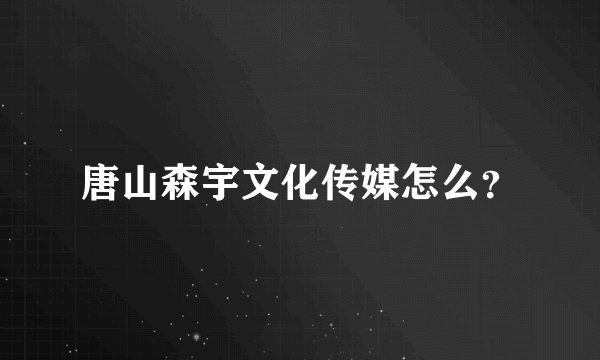 唐山森宇文化传媒怎么？