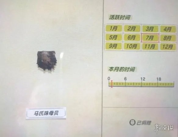 《集合啦动物森友会》海洋生物有哪些?海洋生物价格图鉴