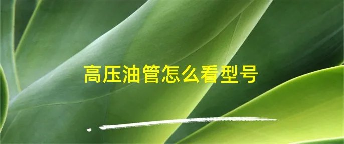 高压油管怎么看型号