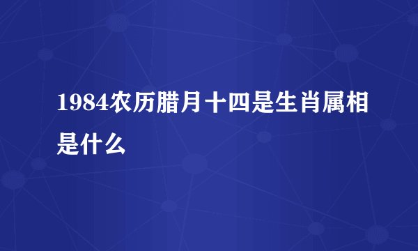 1984农历腊月十四是生肖属相是什么