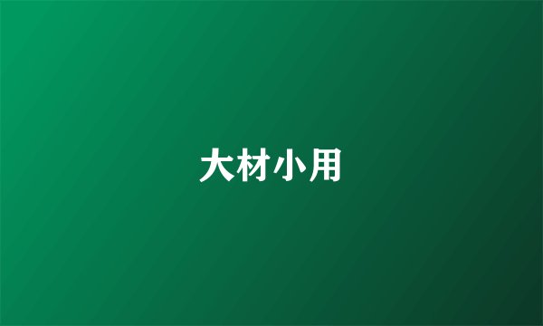大材小用