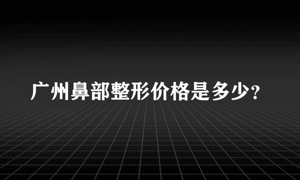 广州鼻部整形价格是多少？