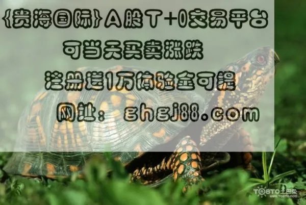 6001899股票增发好不好？