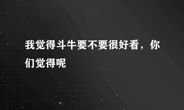 我觉得斗牛要不要很好看，你们觉得呢