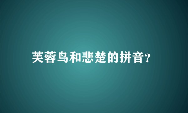 芙蓉鸟和悲楚的拼音？