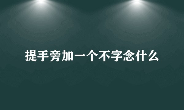 提手旁加一个不字念什么