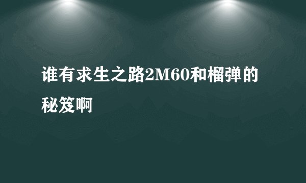 谁有求生之路2M60和榴弹的秘笈啊