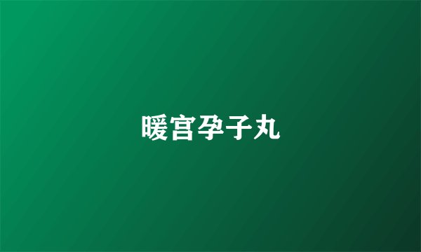 暖宫孕子丸