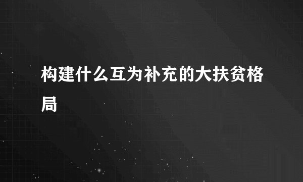 构建什么互为补充的大扶贫格局