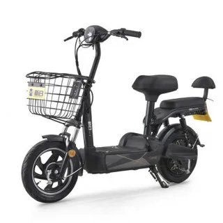 新日电动车电池价格