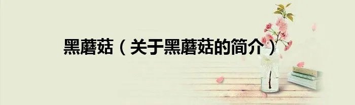 黑蘑菇（关于黑蘑菇的简介）