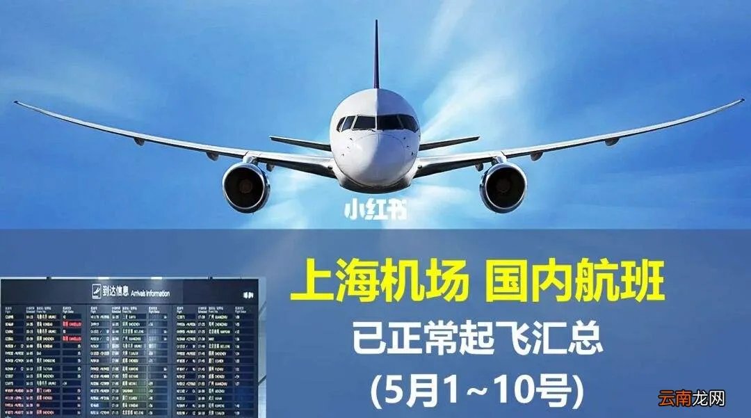 国内航班查询