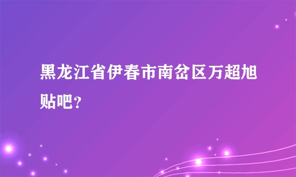 黑龙江省伊春市南岔区万超旭贴吧？