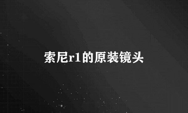 索尼r1的原装镜头