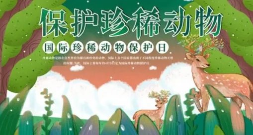 4月8日是什么节日