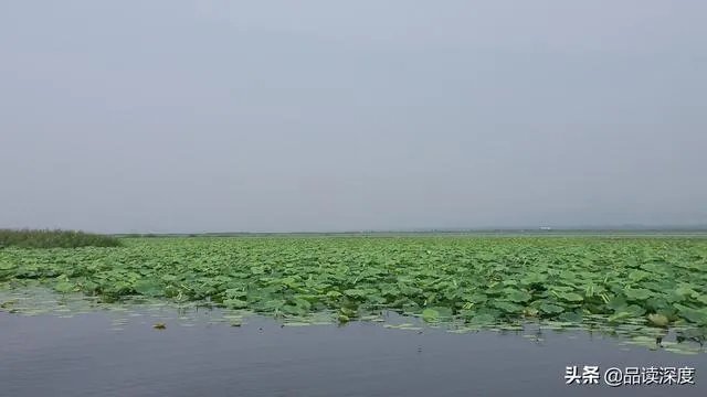 泰安有啥玩的