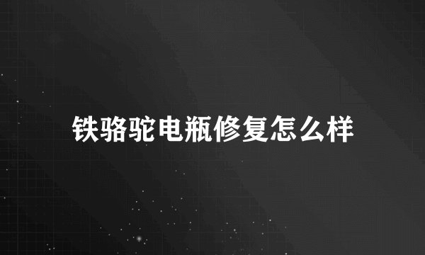 铁骆驼电瓶修复怎么样