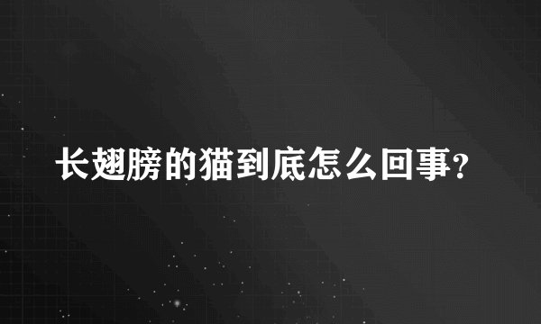 长翅膀的猫到底怎么回事？