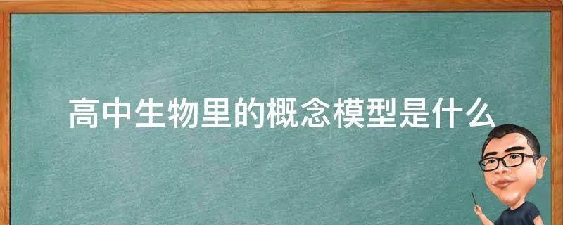高中生物里的概念模型是什么