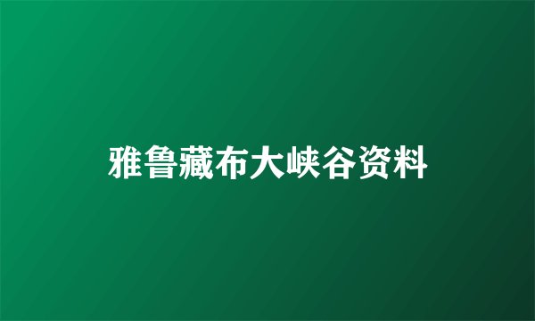 雅鲁藏布大峡谷资料