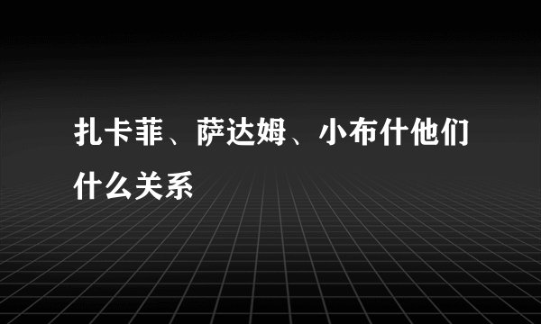 扎卡菲、萨达姆、小布什他们什么关系