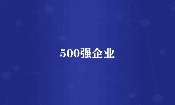500强企业