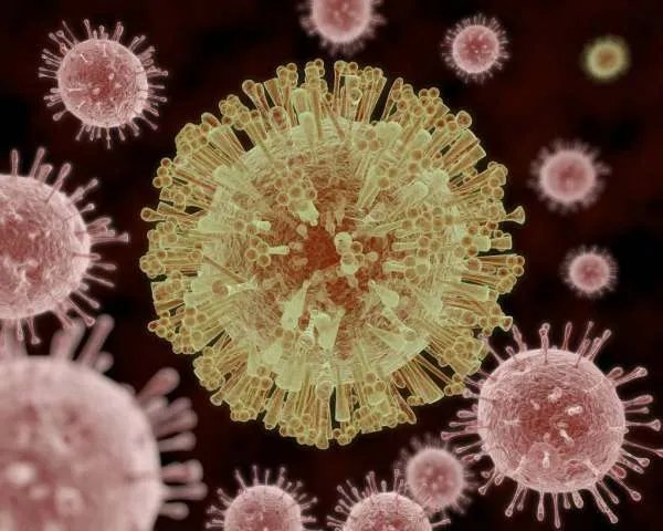 澳洲爆发H7N7禽流感,今年的地球到底怎么了