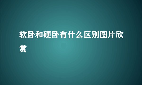软卧和硬卧有什么区别图片欣赏