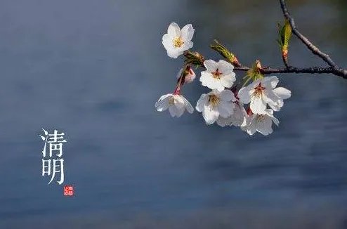 传统节日中既是节日的又是节气的有哪些