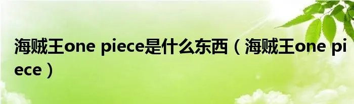 海贼王one piece是什么东西(海贼王one piece)