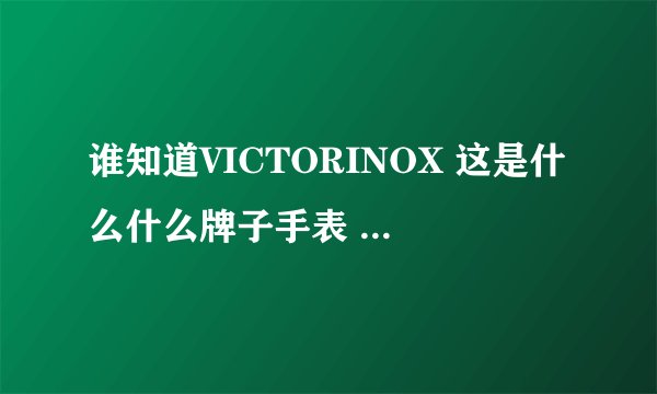 谁知道VICTORINOX 这是什么什么牌子手表 我不知道华语怎么讲?