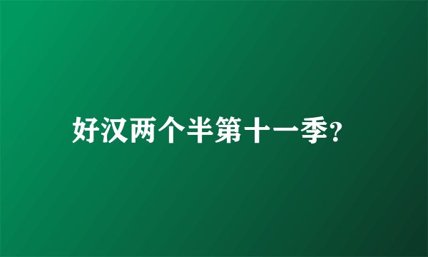 好汉两个半第十一季？