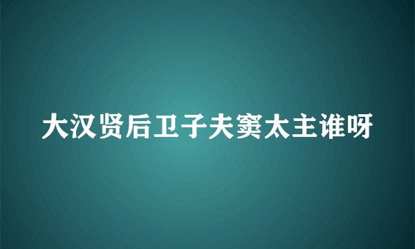 大汉贤后卫子夫窦太主谁呀