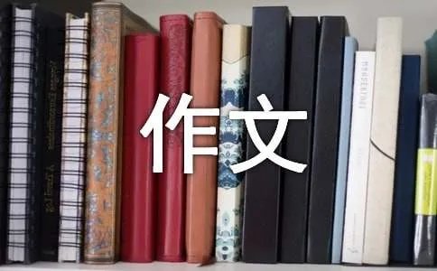 书里有个我作文