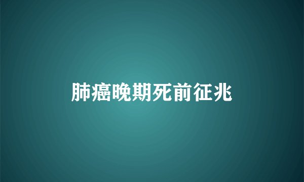 肺癌晚期死前征兆
