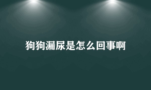 狗狗漏尿是怎么回事啊