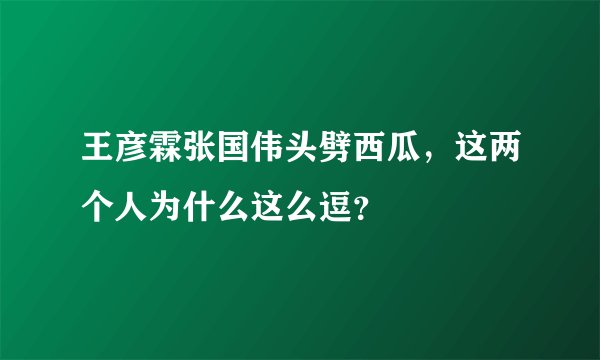 王彦霖张国伟头劈西瓜，这两个人为什么这么逗？