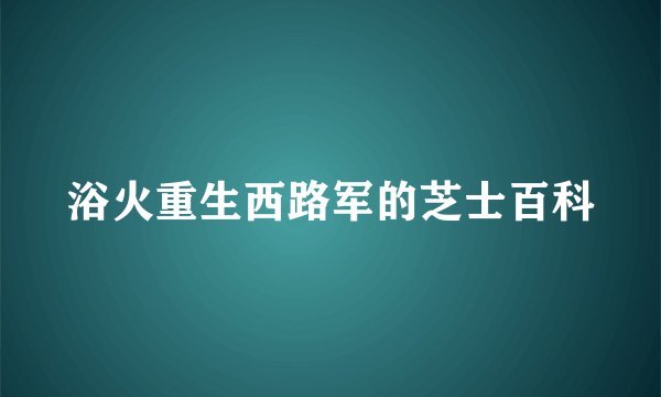 浴火重生西路军的芝士百科
