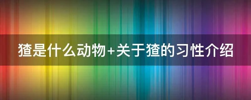 猹是什么动物 关于猹的习性介绍