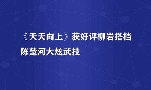 《天天向上》获好评柳岩搭档陈楚河大炫武技