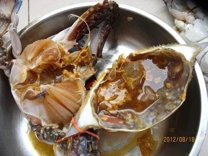 注胶虾到底是怎么回事?