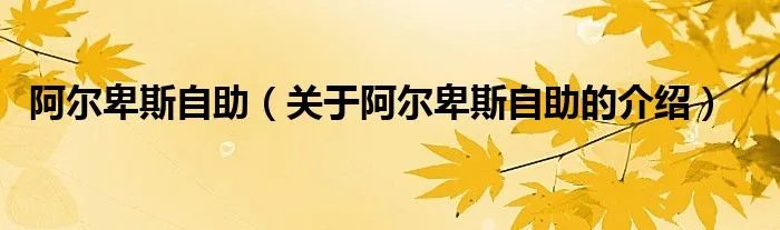 阿尔卑斯自助（关于阿尔卑斯自助的介绍）