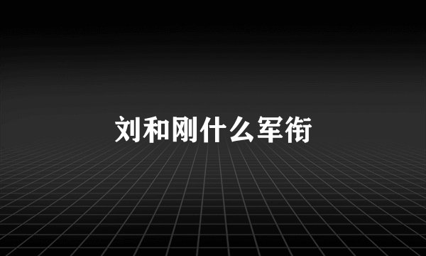 刘和刚什么军衔